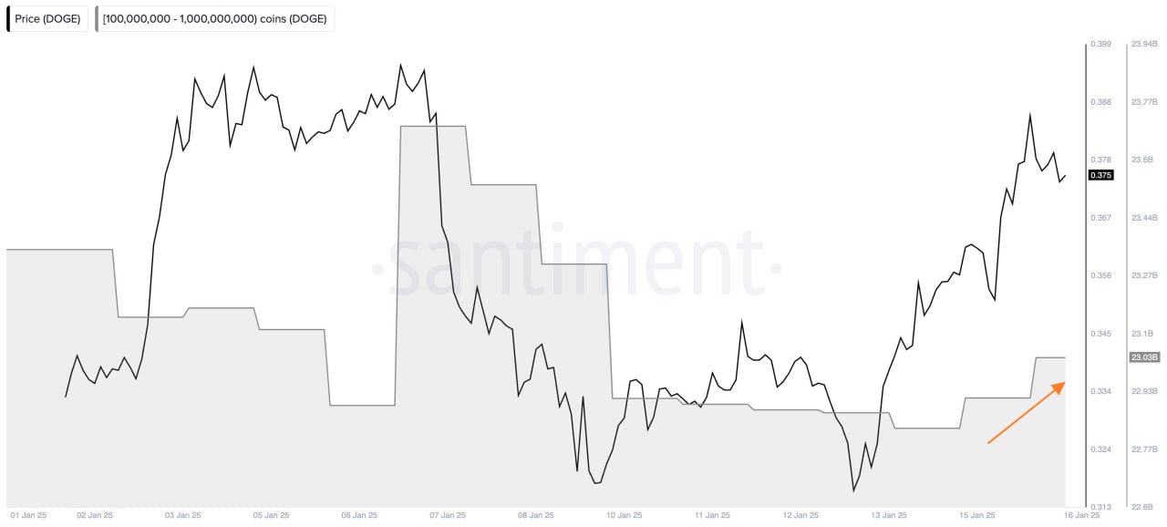 01947517-55a3-722a-91c3-63ccd7cd75c7