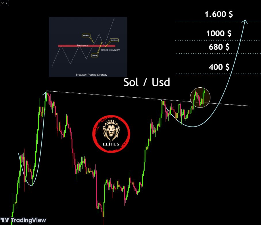 01949847-363e-7859-805d-a8285dd69e40