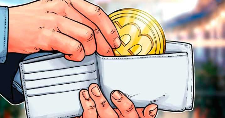 Bất chấp thị trường gấu, những người nắm giữ Bitcoin đang gia tăng