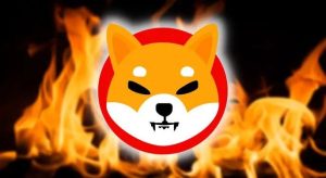 Tính năng đốt SHIB dành cho người bán sẽ được nhà cung cấp dịch vụ thanh toán tiền điện tử ra mắt