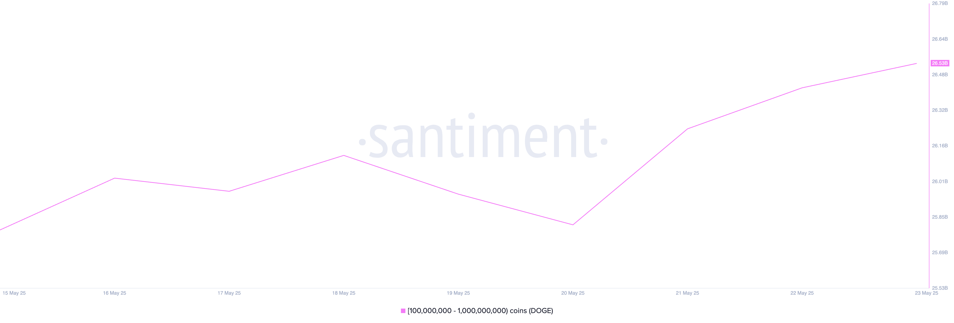 DOGE Whale Holdings.