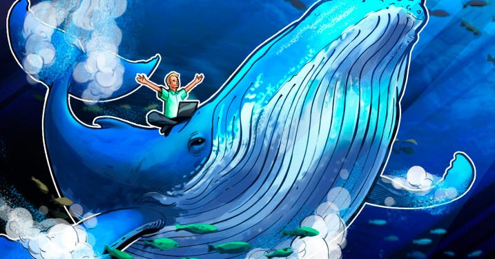 Cá voi ẩn danh mua 276 tỷ SHIB sau lần mua đầu tiên 6 nghìn tỷ SHIB vào thứ Năm