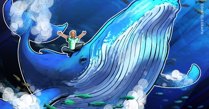 Short Bitcoin đạt mức cao nhất trong 2 năm trên BitFinex: Sự cố 30 nghìn USD hay đợt Short Squeeze sắp tới?