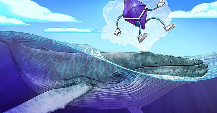 Các cá voi Ethereum đã HODL trở lại sau The Merge