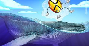 Cá voi XRP chuyển 29 triệu token sang Bitstamp trong bối cảnh giá giảm